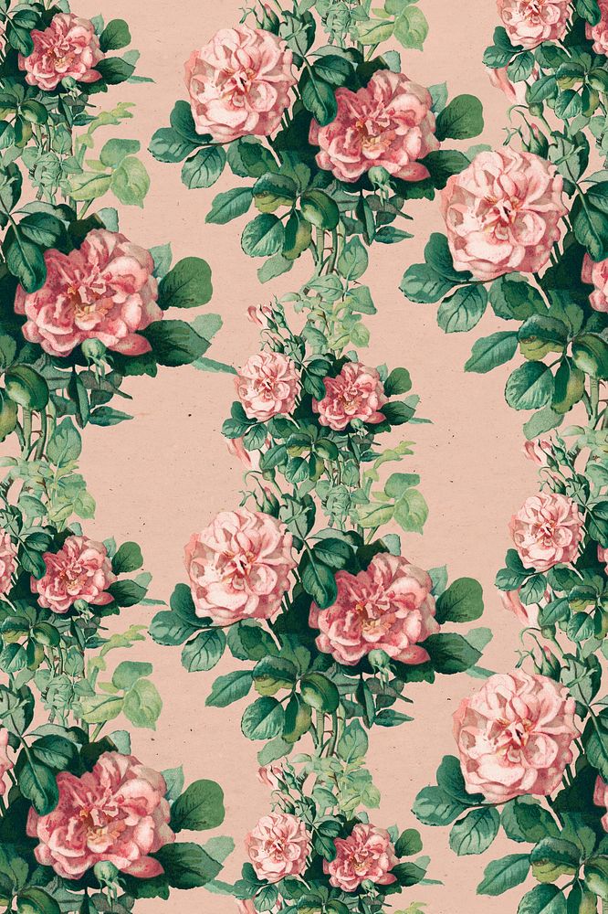 Vintage pink rose floral pattern illustration, remix from artworks by L. Prang & Co.