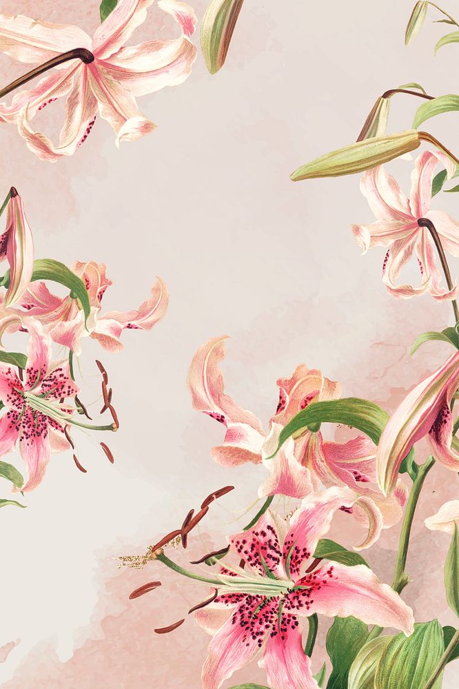 Vintage pink lilies psd background, remix from artworks by L. Prang & Co.