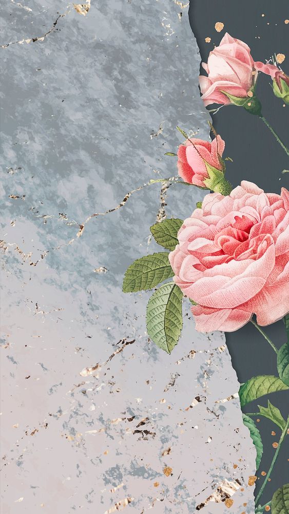 Blank pink rose frame vector