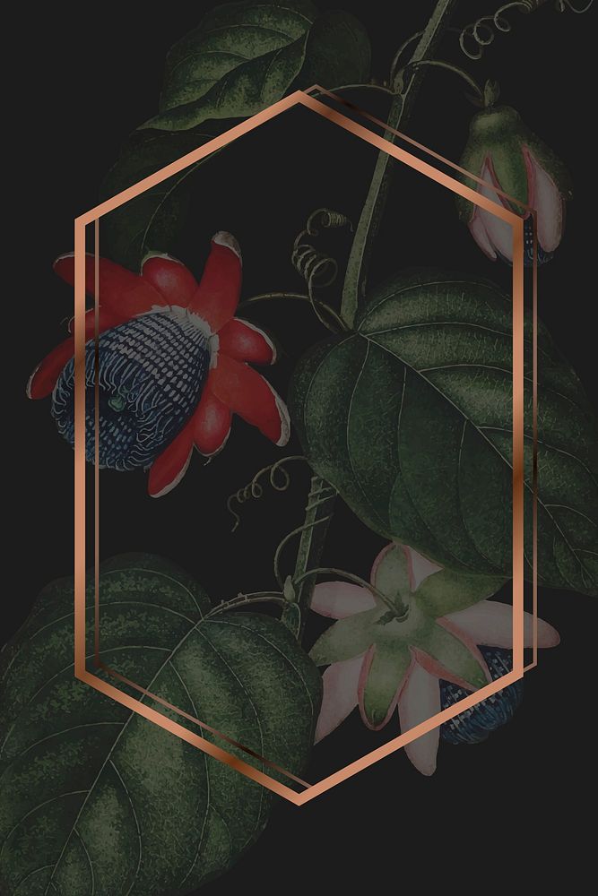 The winged passion flower hexagon frame vector