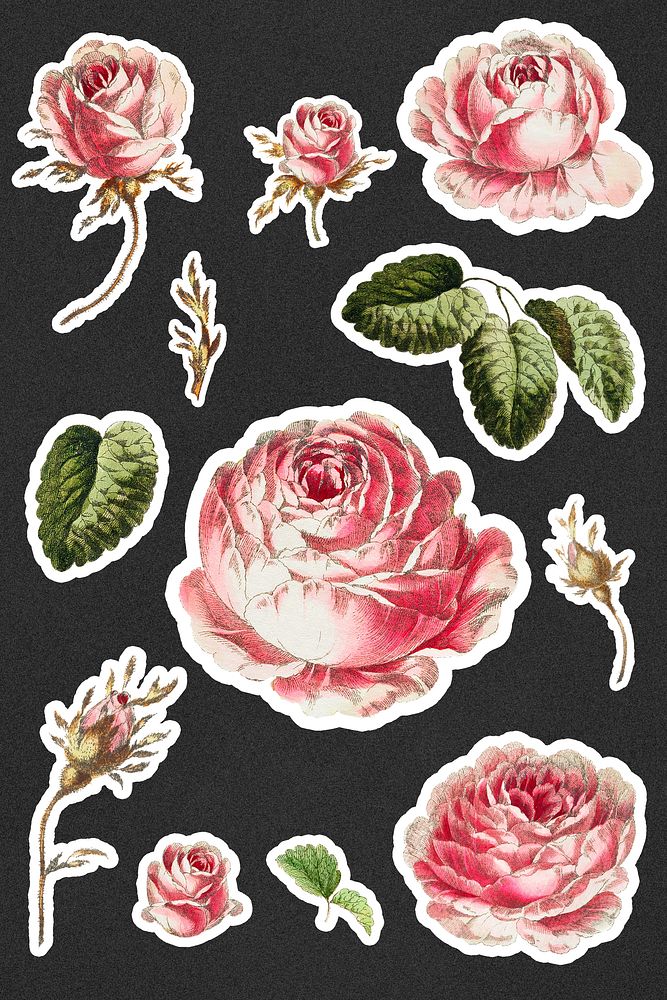 Vintage rose sticker collection on black background