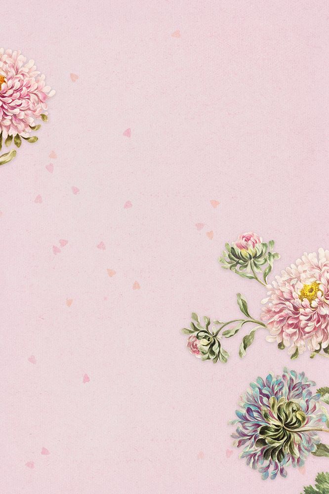 Vintage china aster flower frame on pink texture background design element