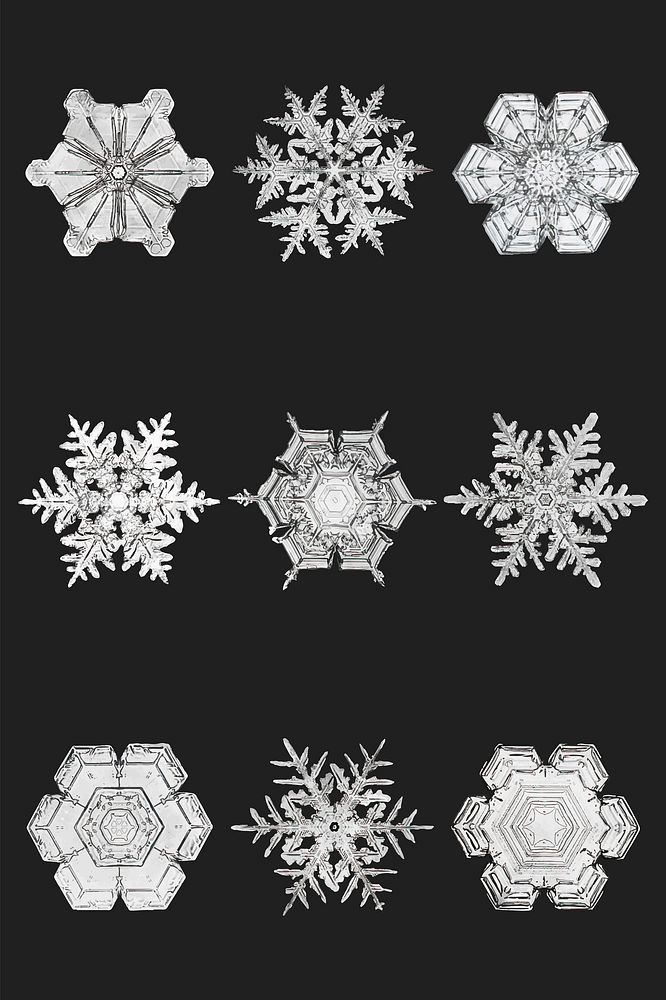 Winter snowflake vector macro photography set, remix of art by Wilson Bentley