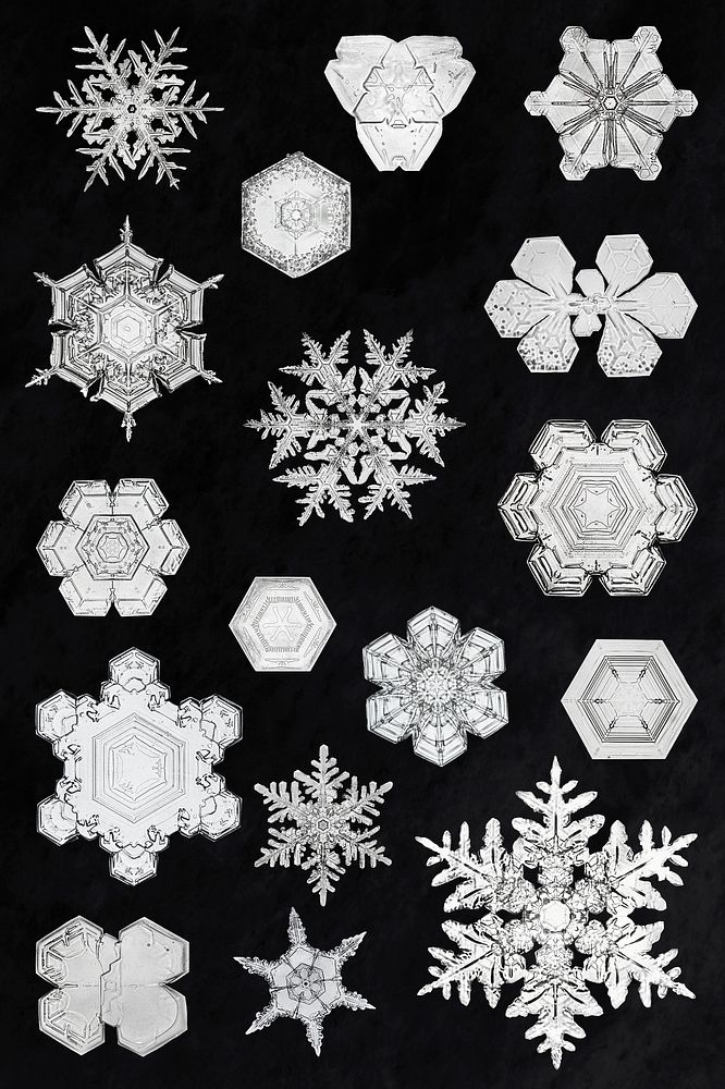 Winter snowflake Christmas ornament set macro photography, remix of photography by Wilson Bentley