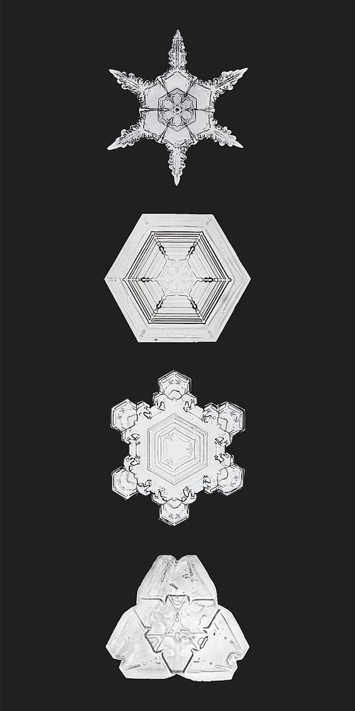 Snowflake vector winter macro photography ornament set, remix of photography by Wilson Bentley