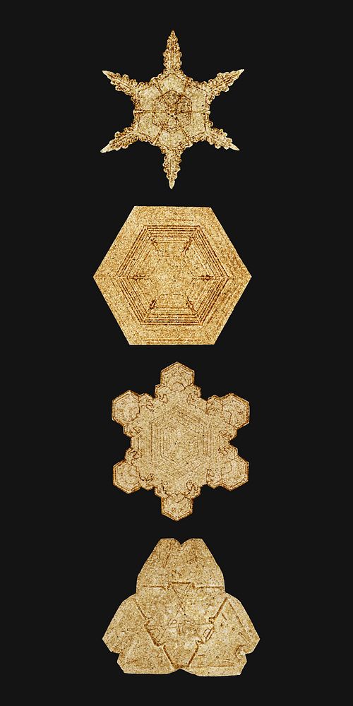 Gold Christmas snowflake vector macro photography , remix of art by Wilson Bentley