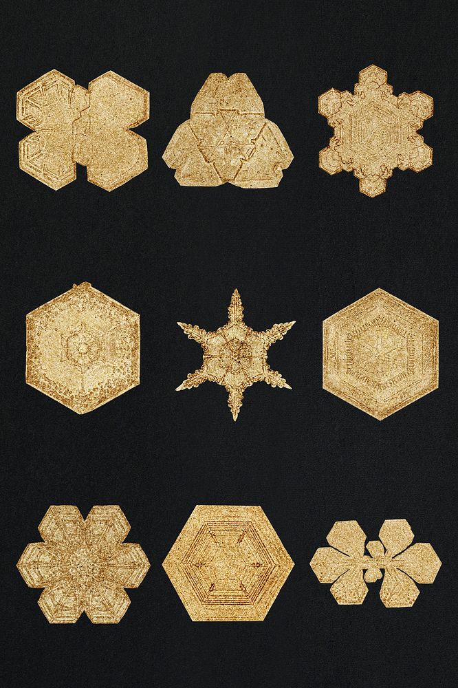 Winter gold snowflake psd macro photography , remix of art by Wilson Bentley