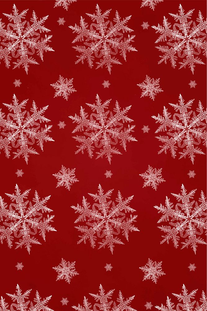 Red Christmas snowflake pattern background vector, remix of photography by Wilson Bentley