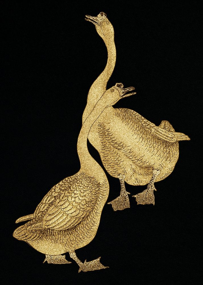 Golden geese vintage illustration 