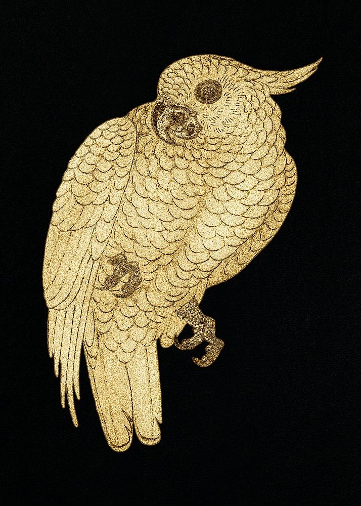 Gold parrot vintage illustration 