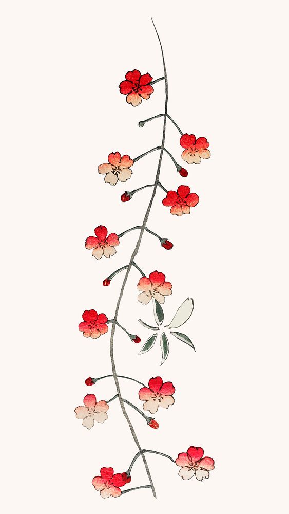 Traditional Japanese sakura ornamental vector element, remix of artwork by Watanabe Seitei