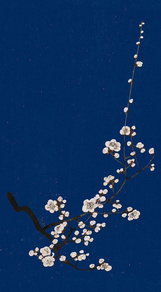 Traditional Japanese plum blossom mobile wallpaper, artwork remix from original print by Watanabe Seitei