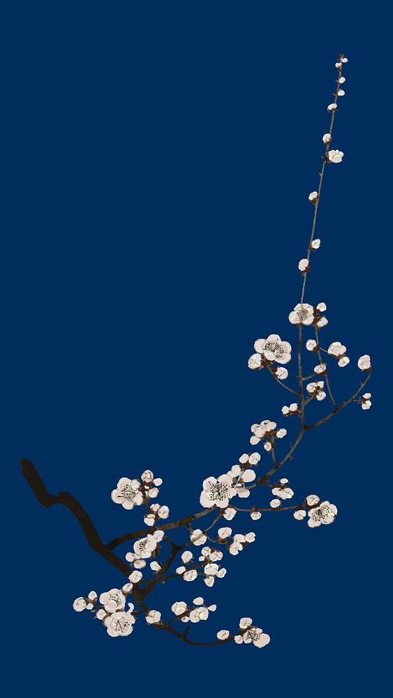 Traditional Japanese plum blossom ornamental element vector, artwork remix from original print by Watanabe Seitei