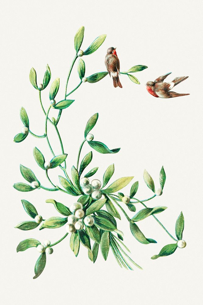 Birds chirping on a leaf illustration