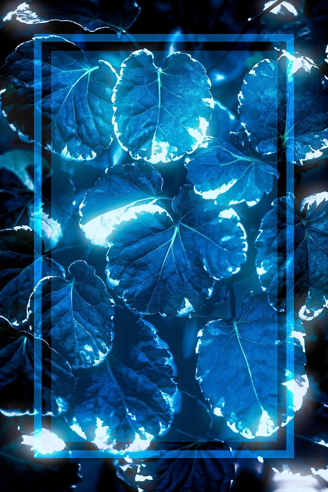 Blue neon frame on Polyscias Balfouriana leaves mockup