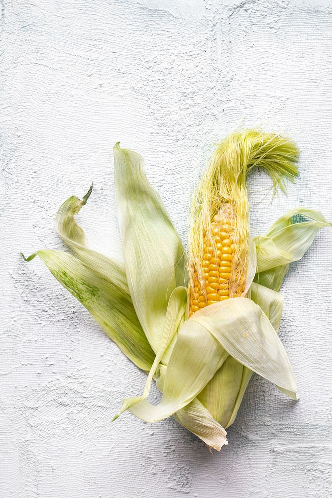 Corn on the cob on a rigid surface