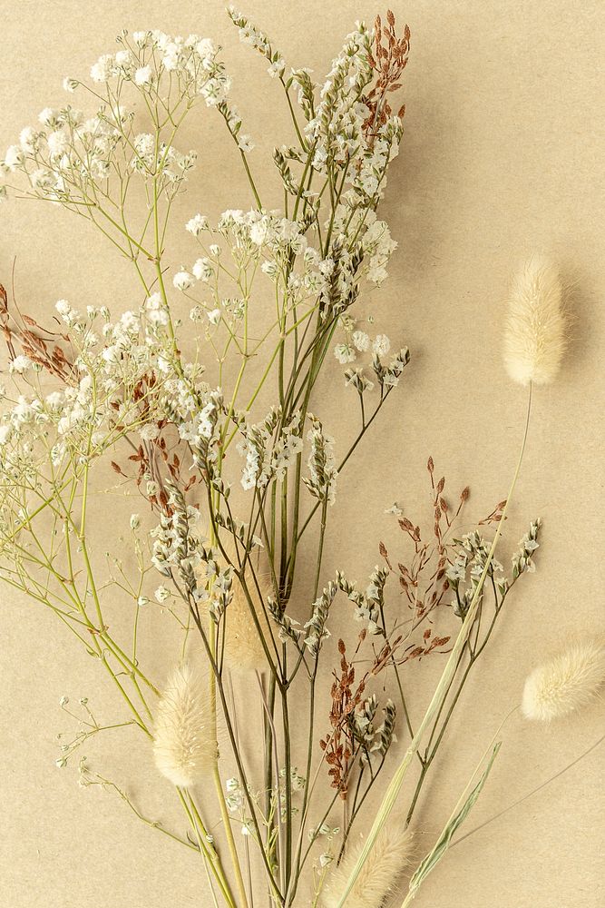 Flower branch on beige background