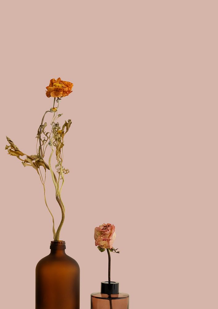 Dried flowers in brown glass vases on a pink background