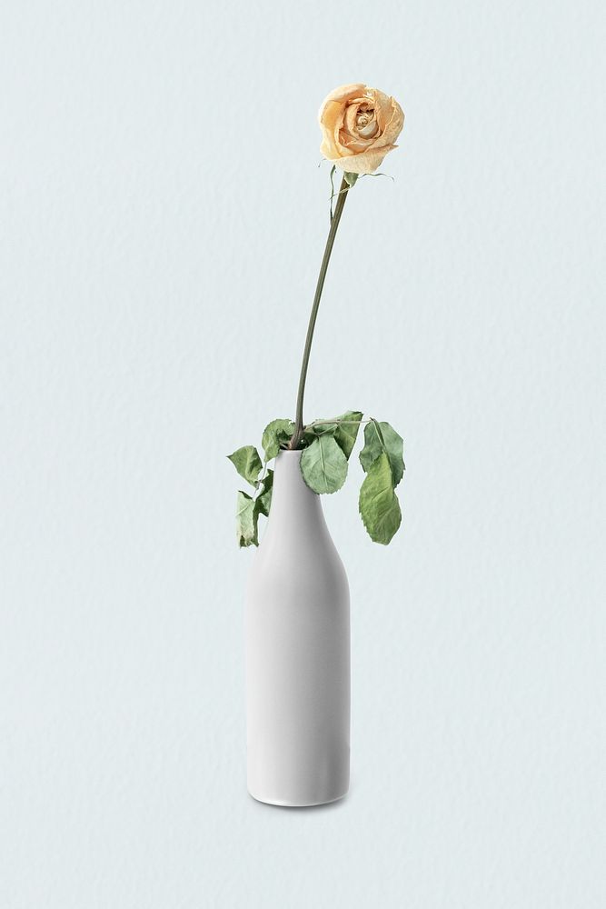Dried white rose in a light gray vase