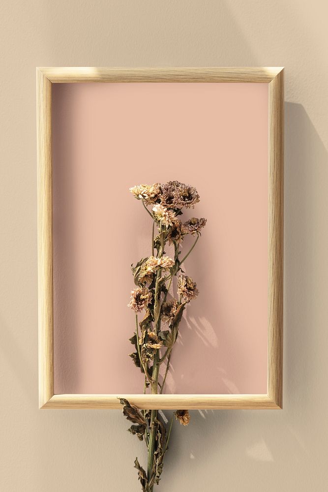 Dried chrysanthemum flower in a wooden frame