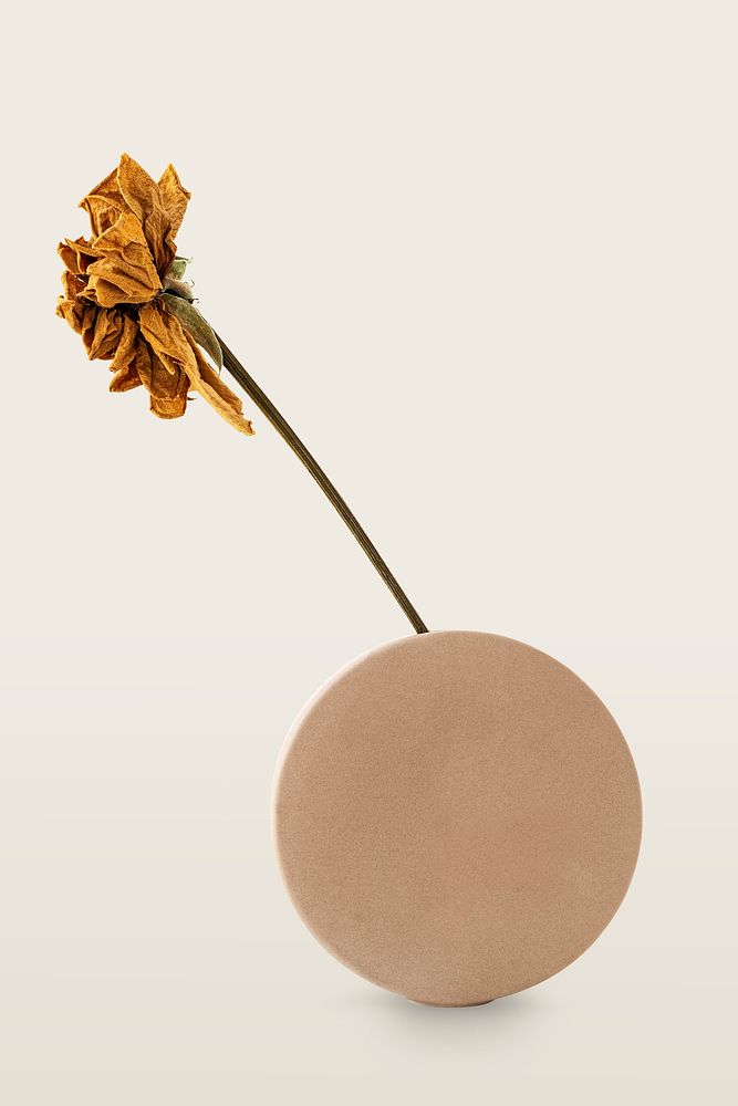 Dried flower in a brown round vase