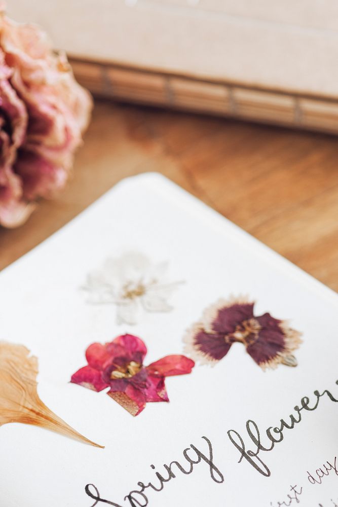 Dried flowers in a spring flowers diary