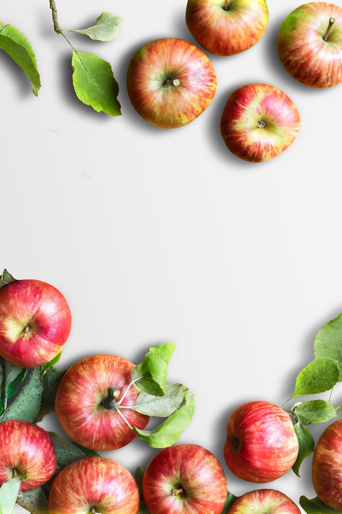 Red apples and leaves border frame white background