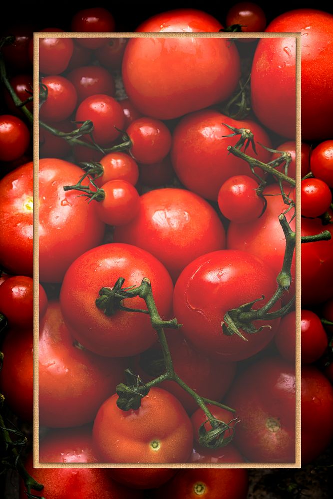Fresh red small tomatoes frame