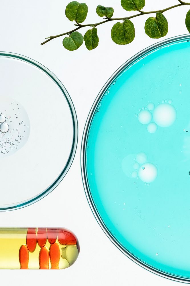Science background, petri dishes flat lay wallpaper