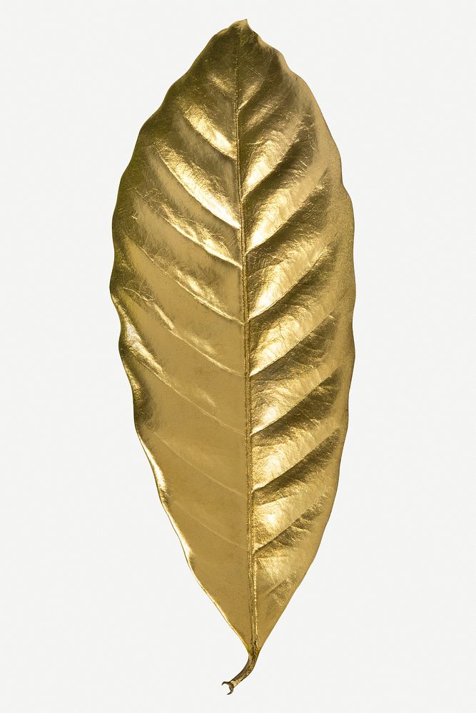 Shiny gold leaf isolated on white background mockup
