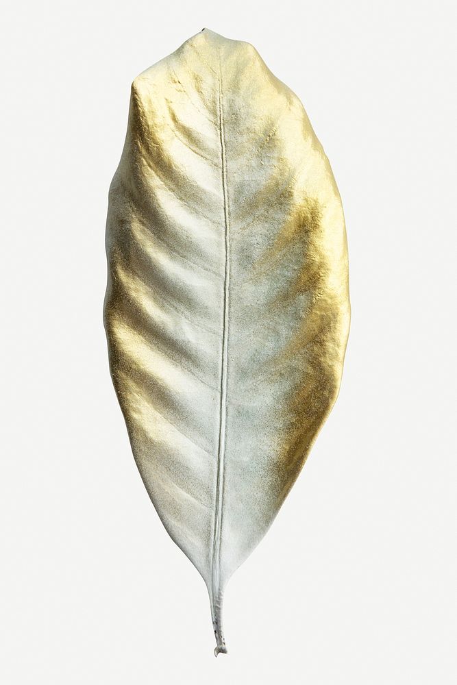 Shiny gold leaf isolated on white background mockup