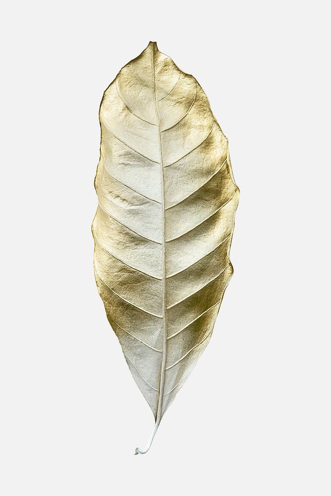 Gold and white leaf mockup on an off white background 