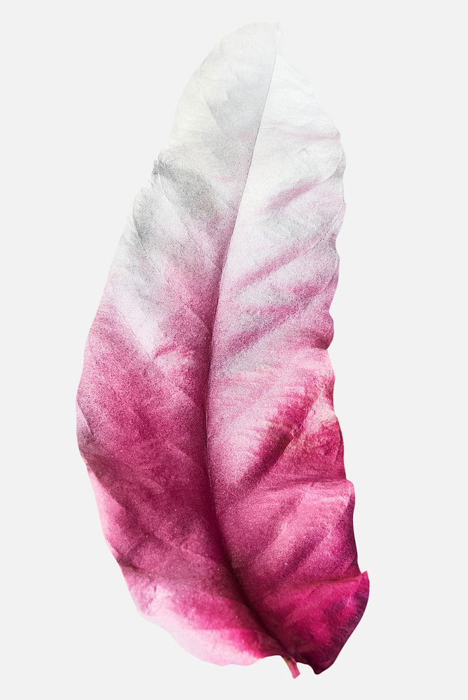 Leaf painted in magenta and white mock up on an off white background
