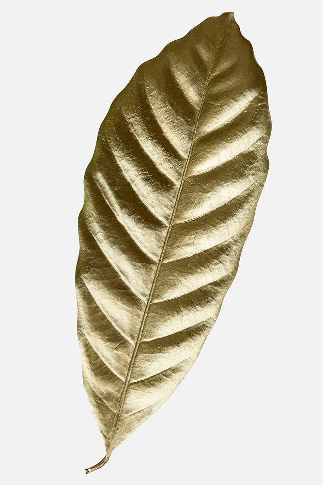 Leaf painted in gold mockup on an off white background