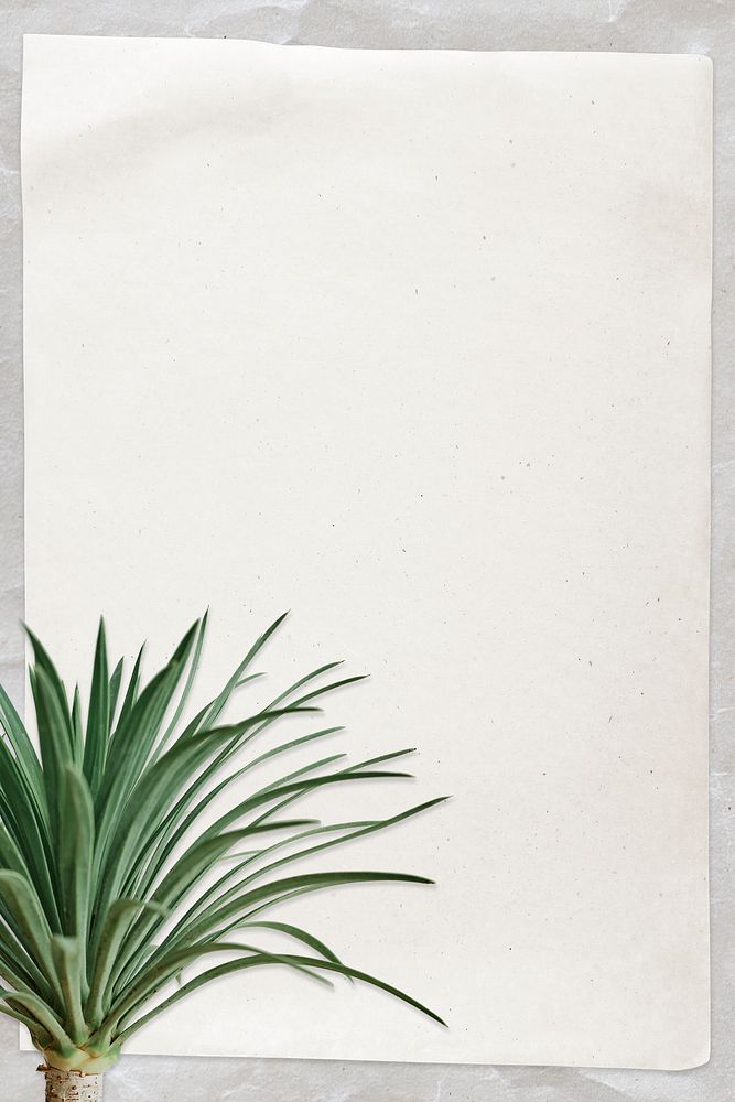 Paper note with agave palm tree