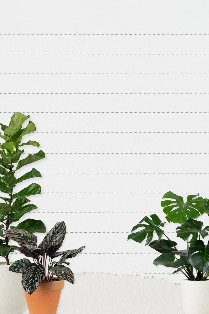 Lined paper background with plants