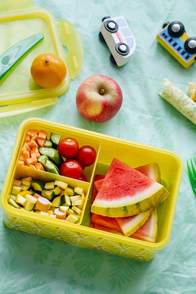 Kids picnic food box with watermelon and veggies