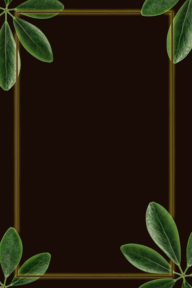 Green leaves with golden rectangle frame on black background