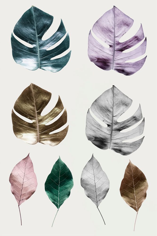 Metallic split leaf philodendron collection
