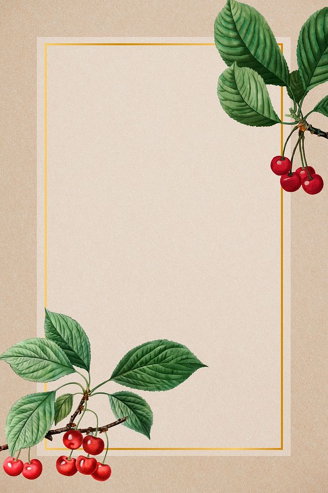 Hand drawn cherry pattern with rectangle gold frame illustration