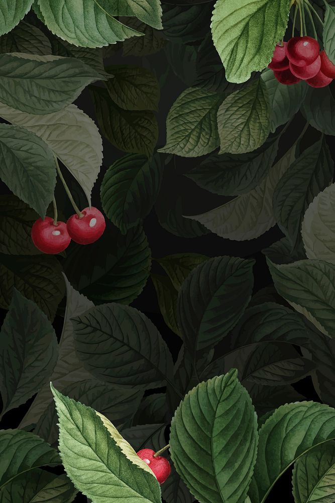 Hand drawn cherry patterned background vector