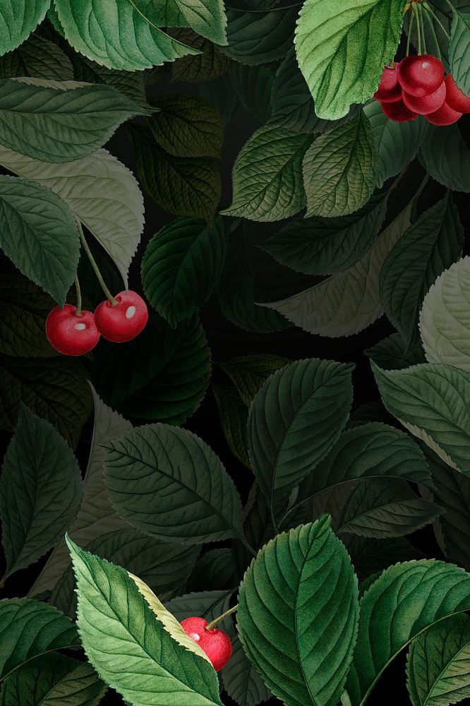 Hand drawn cherry patterned background illustration