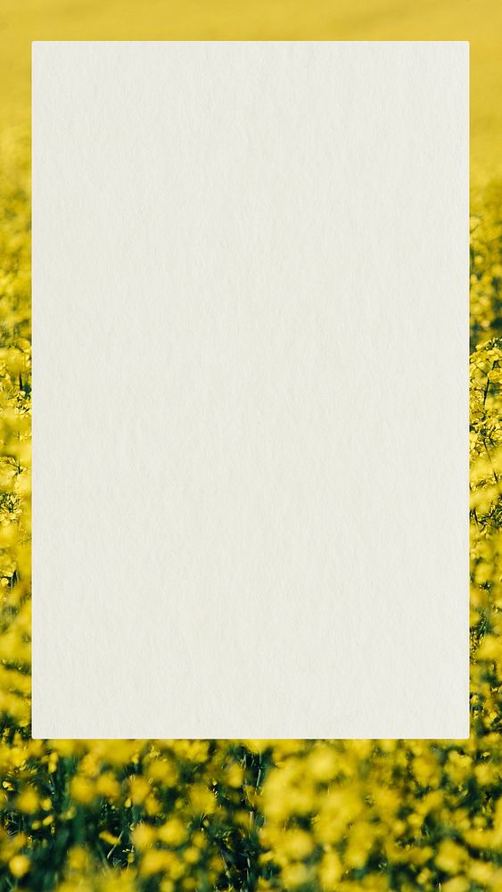 Card on a field of yellow flowers mobile wallpaper