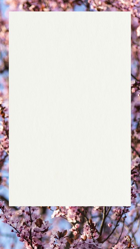 Poster on a cherry blossoms mobile wallpaper