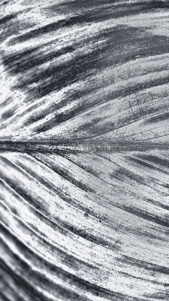 Detailed silver leaf textured mobile phone wallpaper