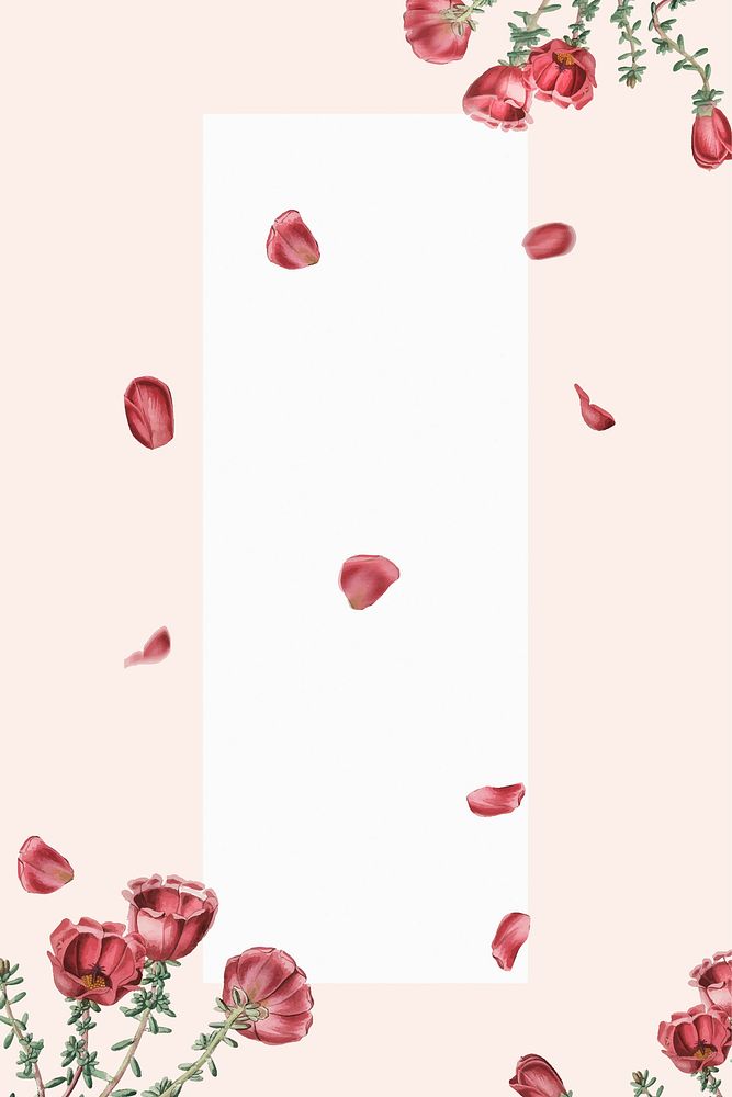 Red purslane pattern on pink background vector