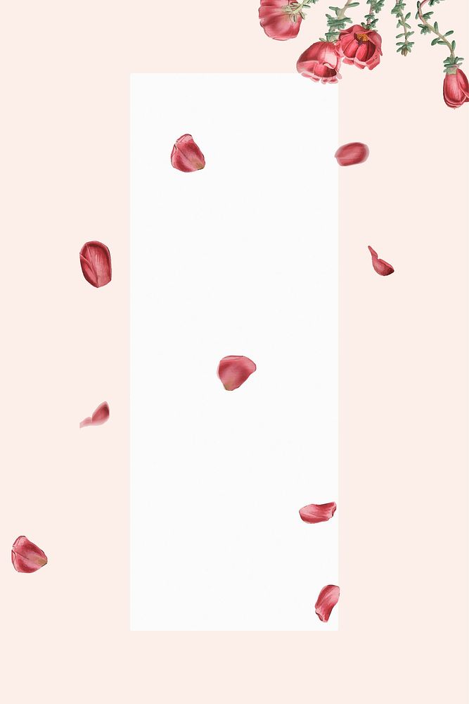 Red purslane pattern on pink background vector