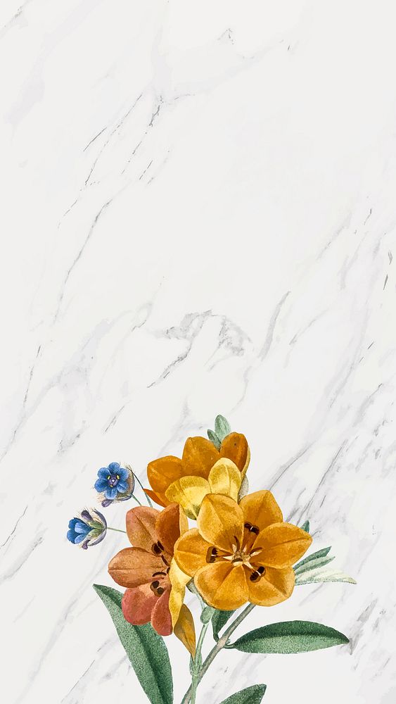 Gray marble floral frame mobile phone background vector