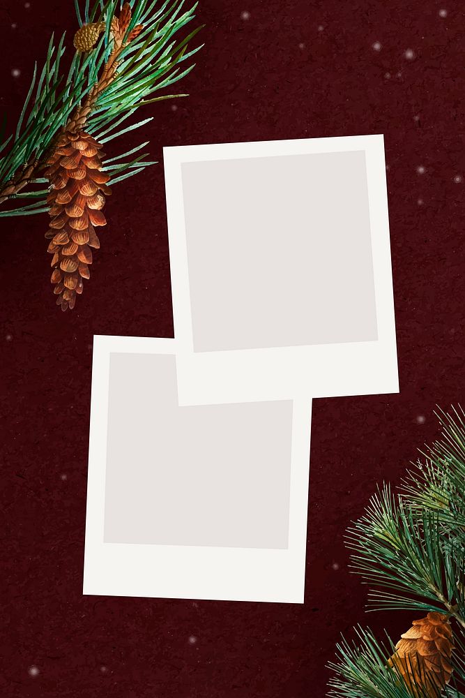 Festive blank Christmas films vector
