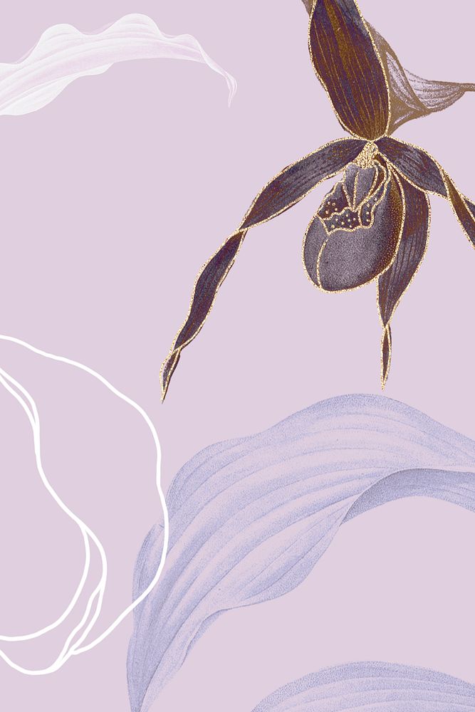 Lady's Slipper Orchid leafy background illustration